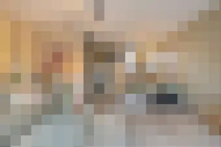 Rietland 19 Assendelft thumbnail 19
