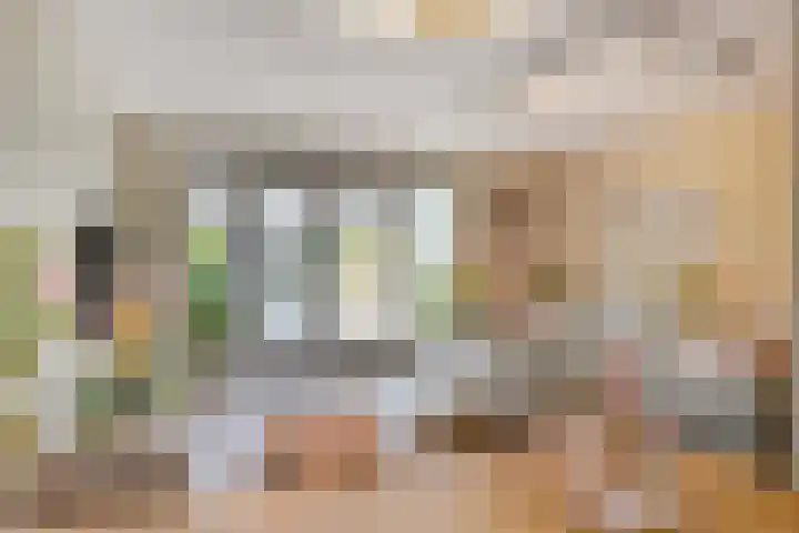 Rietland 19 Assendelft thumbnail 20