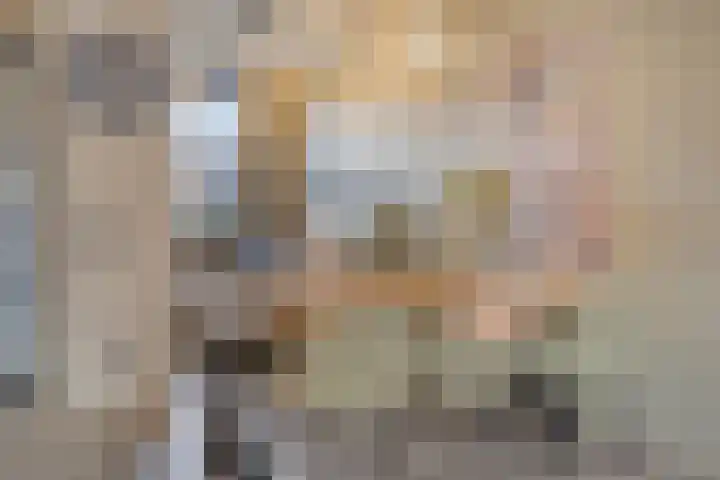 Rietland 19 Assendelft thumbnail 21