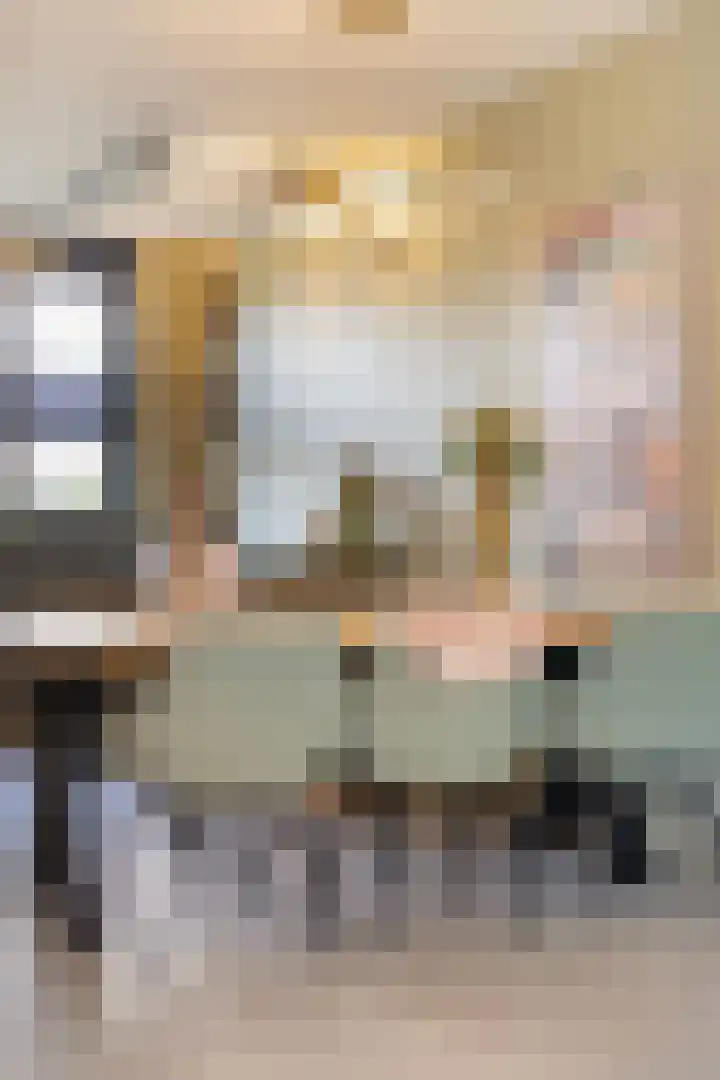 Rietland 19 Assendelft thumbnail 22