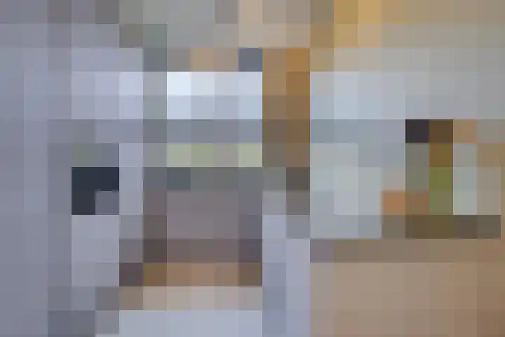 Rietland 19 Assendelft thumbnail 24
