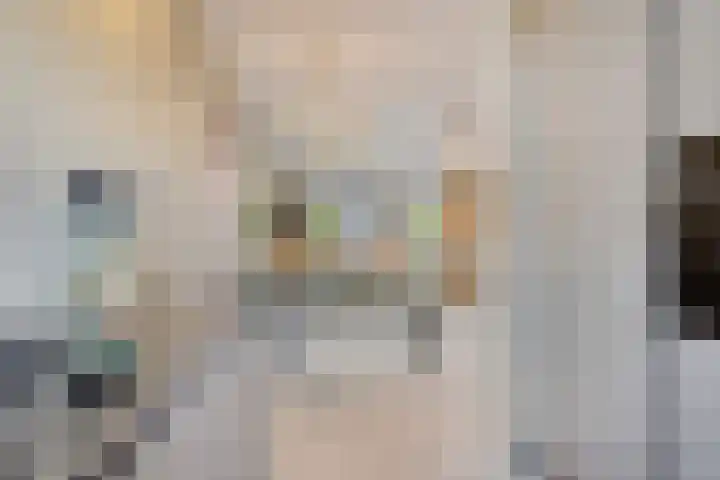 Rietland 19 Assendelft thumbnail 27