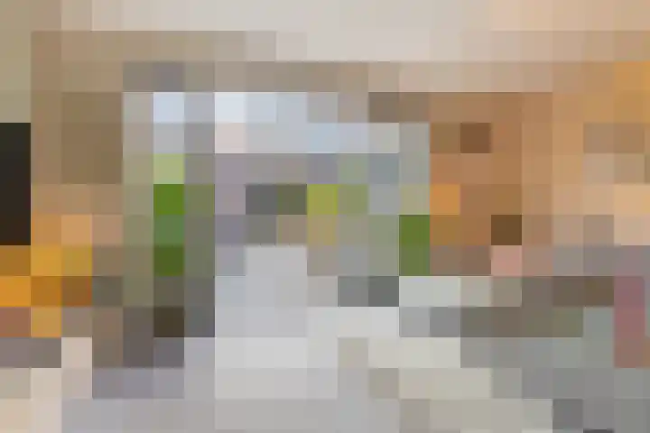 Rietland 19 Assendelft thumbnail 28