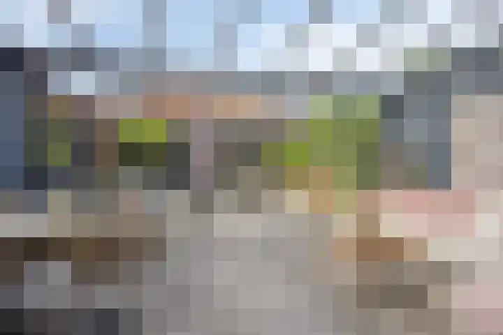 Rietland 19 Assendelft thumbnail 29