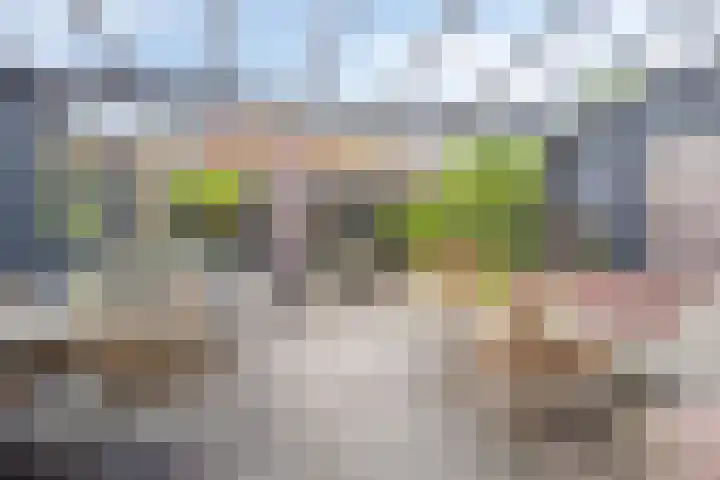 Rietland 19 Assendelft thumbnail 30
