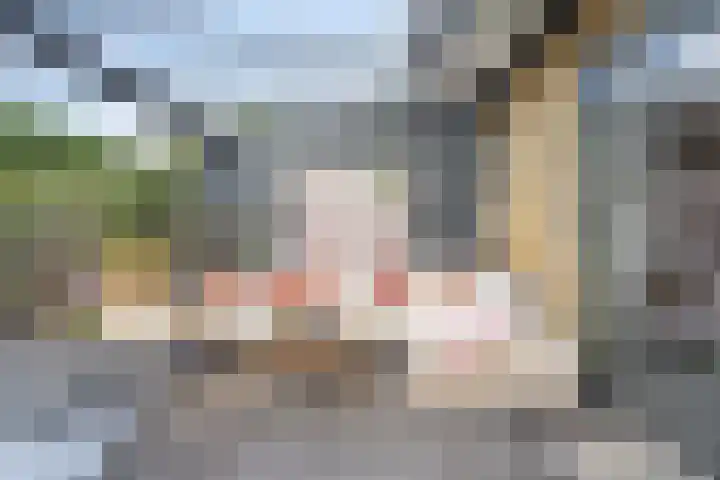 Rietland 19 Assendelft thumbnail 31