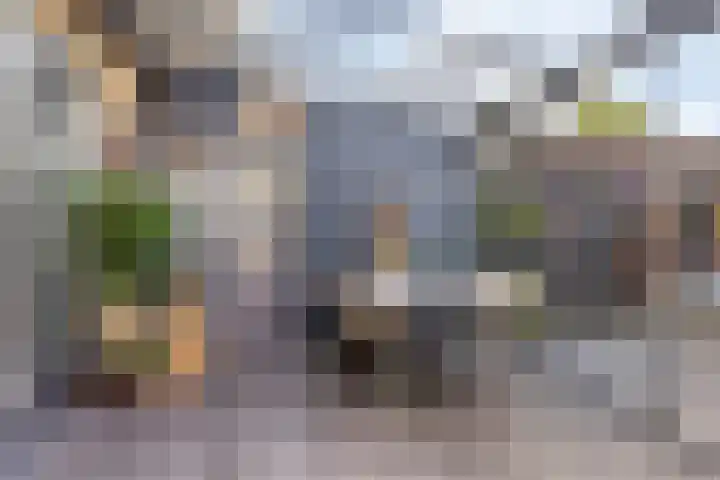 Rietland 19 Assendelft thumbnail 32
