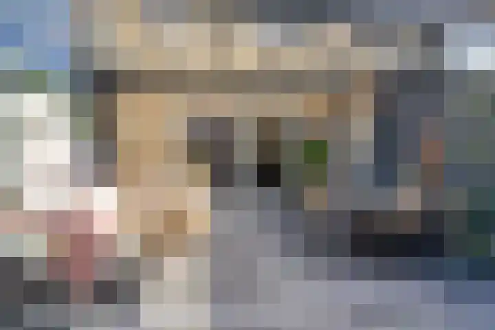 Rietland 19 Assendelft thumbnail 33
