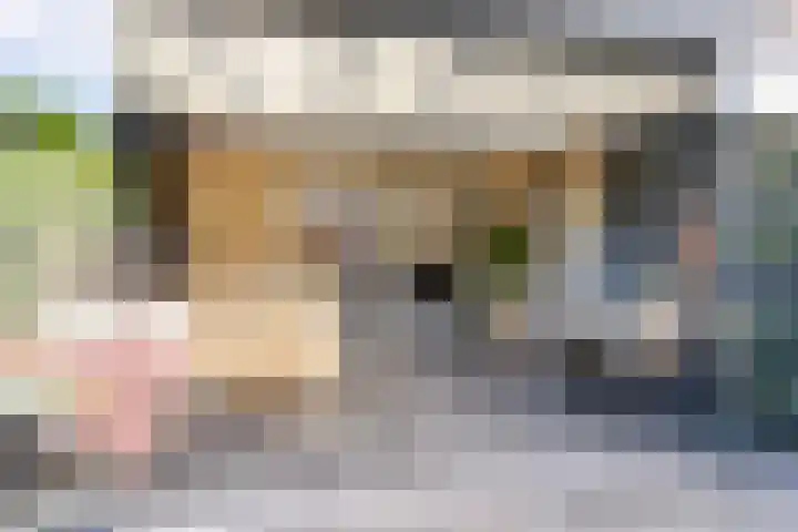 Rietland 19 Assendelft thumbnail 34