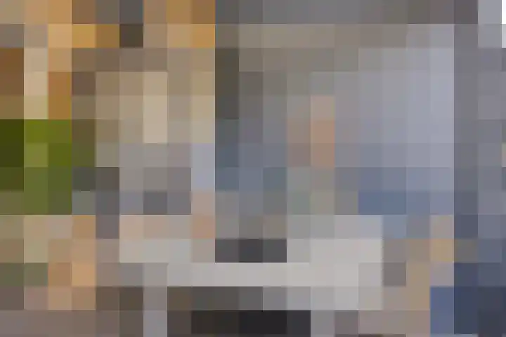 Rietland 19 Assendelft thumbnail 35