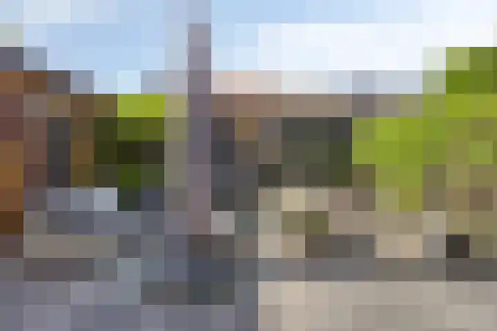 Rietland 19 Assendelft thumbnail 36