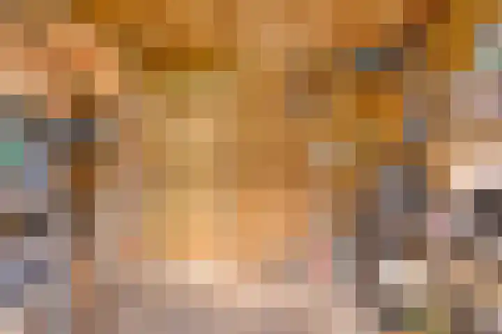 Rietland 19 Assendelft thumbnail 37