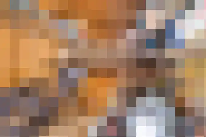 Rietland 19 Assendelft thumbnail 38