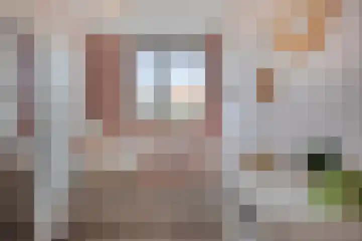 Rietland 19 Assendelft thumbnail 4