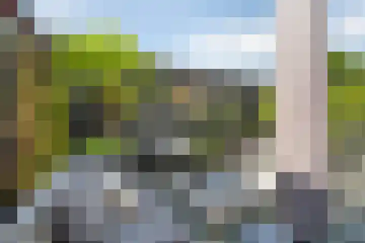 Rietland 19 Assendelft thumbnail 40