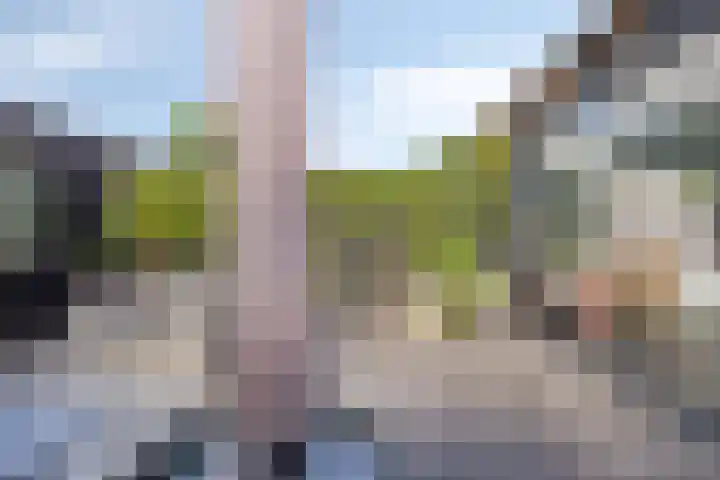 Rietland 19 Assendelft thumbnail 41