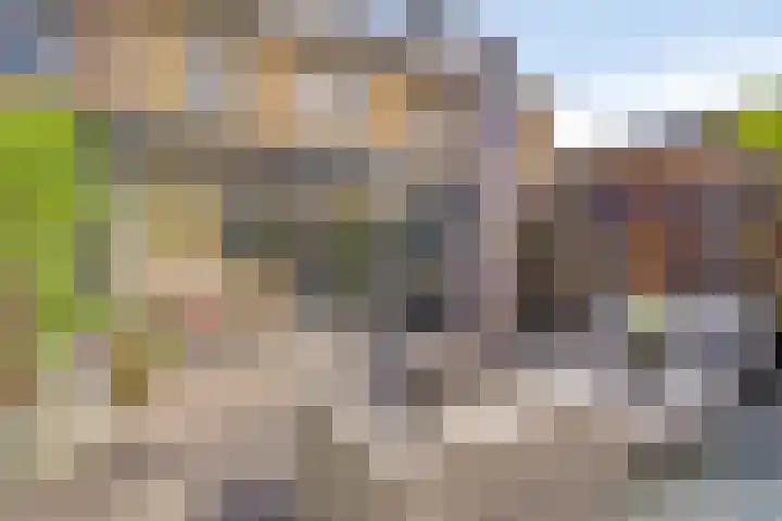 Rietland 19 Assendelft thumbnail 42