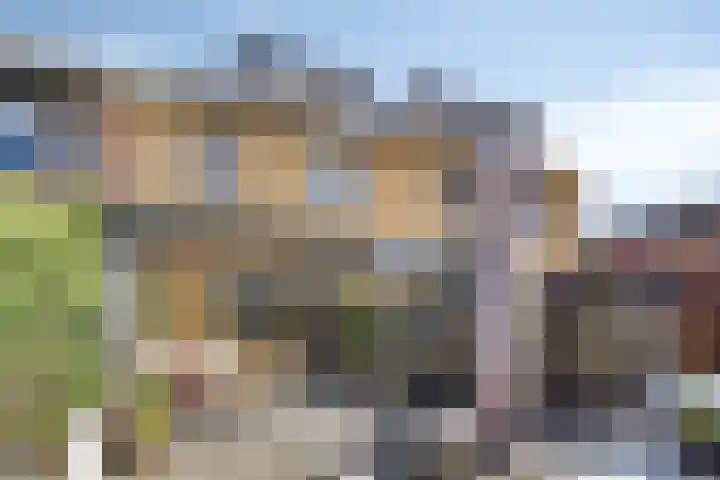 Rietland 19 Assendelft thumbnail 43