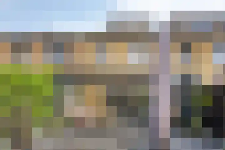 Rietland 19 Assendelft thumbnail 44