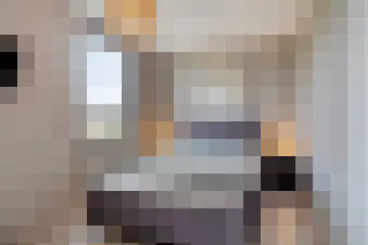 Rietland 19 Assendelft thumbnail 45