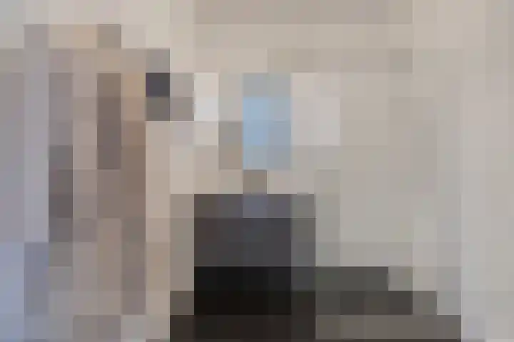 Rietland 19 Assendelft thumbnail 48