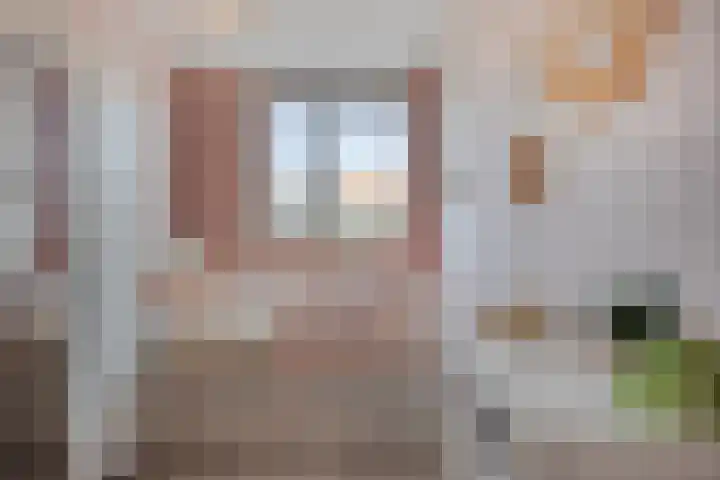 Rietland 19 Assendelft thumbnail 53