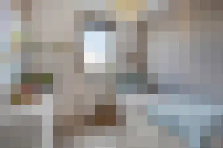 Rietland 19 Assendelft thumbnail 55