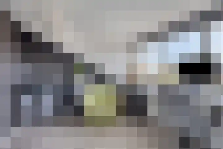 Rietland 19 Assendelft thumbnail 57