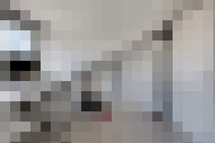 Rietland 19 Assendelft thumbnail 58