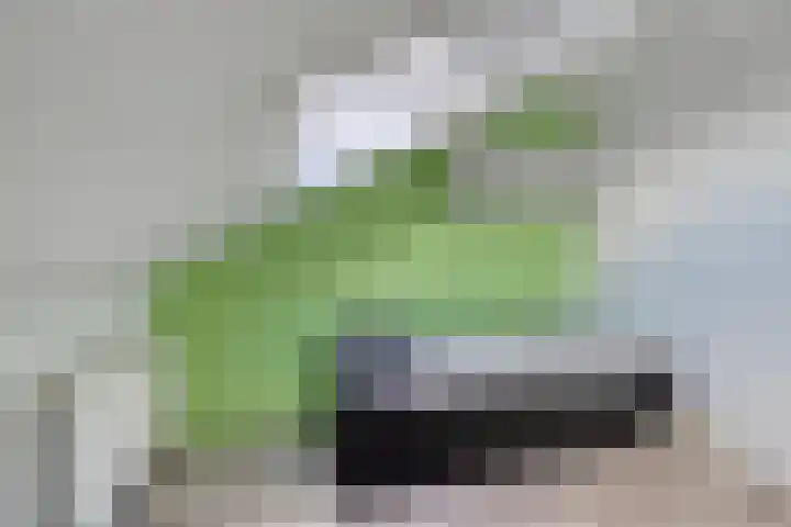 Rietland 19 Assendelft thumbnail 59