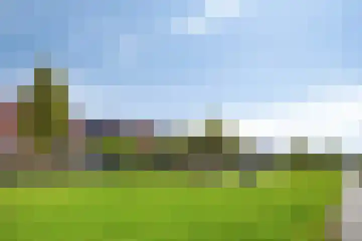 Rietland 19 Assendelft thumbnail 63