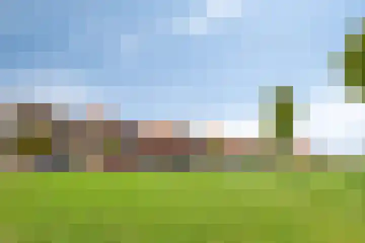 Rietland 19 Assendelft thumbnail 64