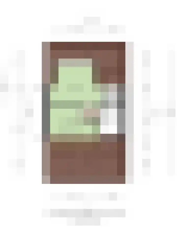 Rietland 19 Assendelft thumbnail 69