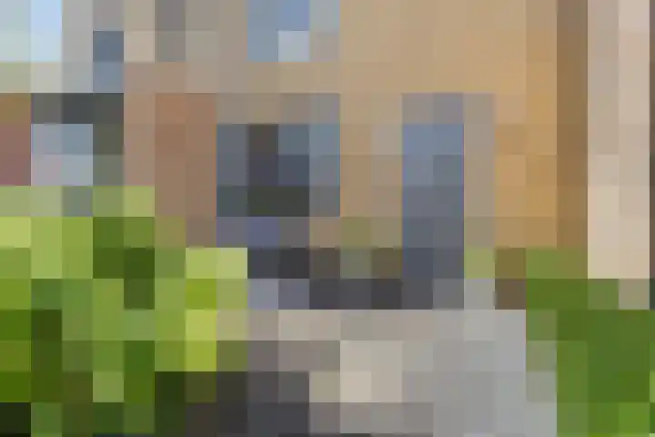Rietland 19 Assendelft thumbnail 7
