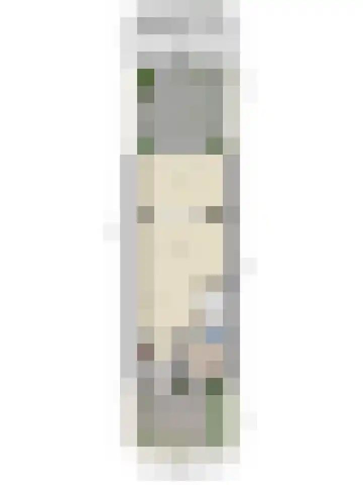 Rietland 19 Assendelft thumbnail 71