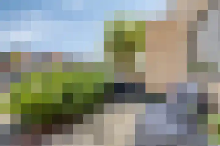 Rietland 19 Assendelft thumbnail 8