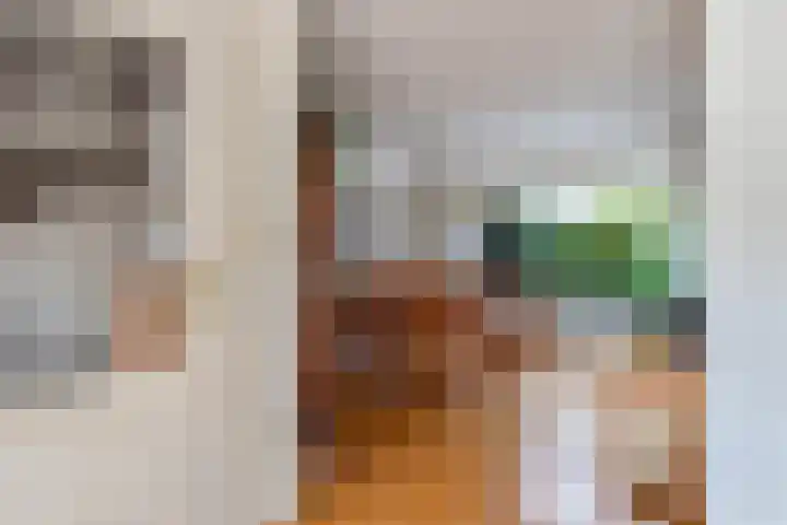 Rietlanden 10 Steenwijk thumbnail 11