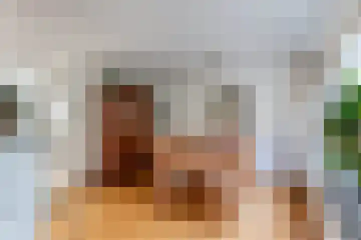 Rietlanden 10 Steenwijk thumbnail 13