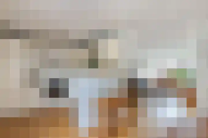 Rietlanden 10 Steenwijk thumbnail 14