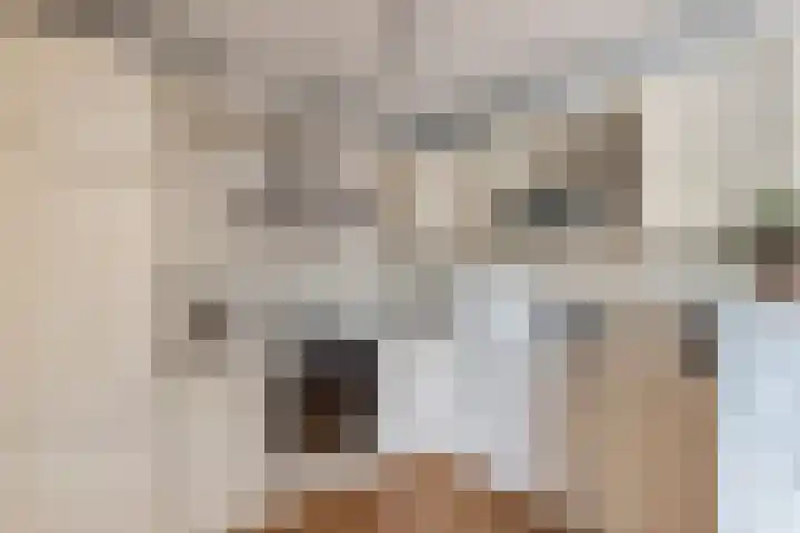 Rietlanden 10 Steenwijk thumbnail 15