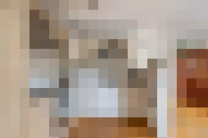 Rietlanden 10 Steenwijk thumbnail 16