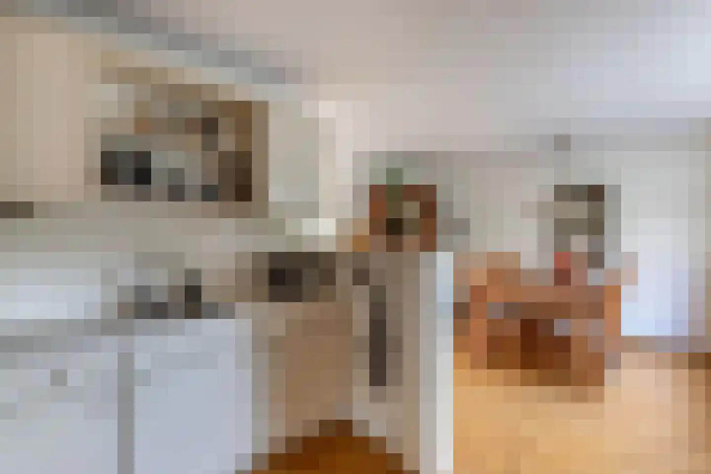 Rietlanden 10 Steenwijk thumbnail 17