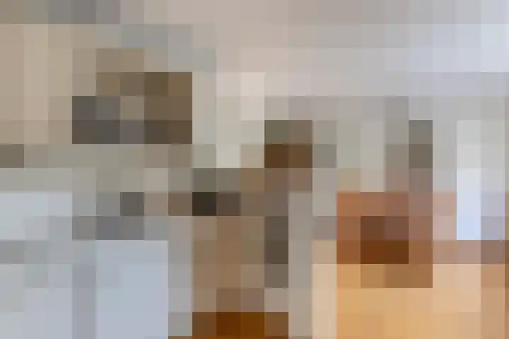 Rietlanden 10 Steenwijk thumbnail 17