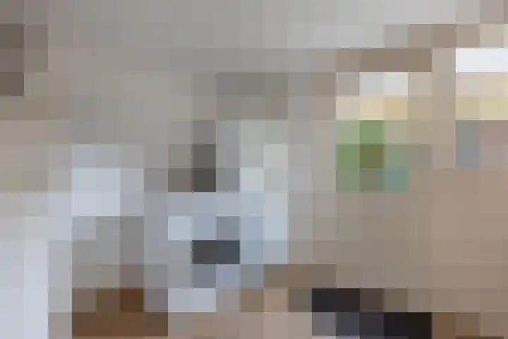Rietlanden 10 Steenwijk thumbnail 18