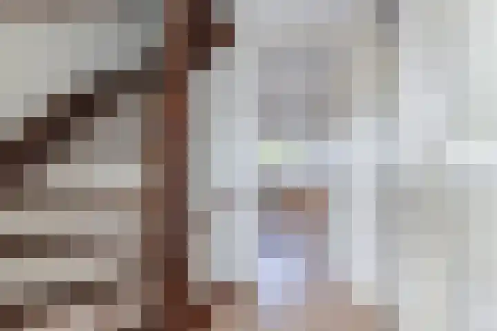 Rietlanden 10 Steenwijk thumbnail 19