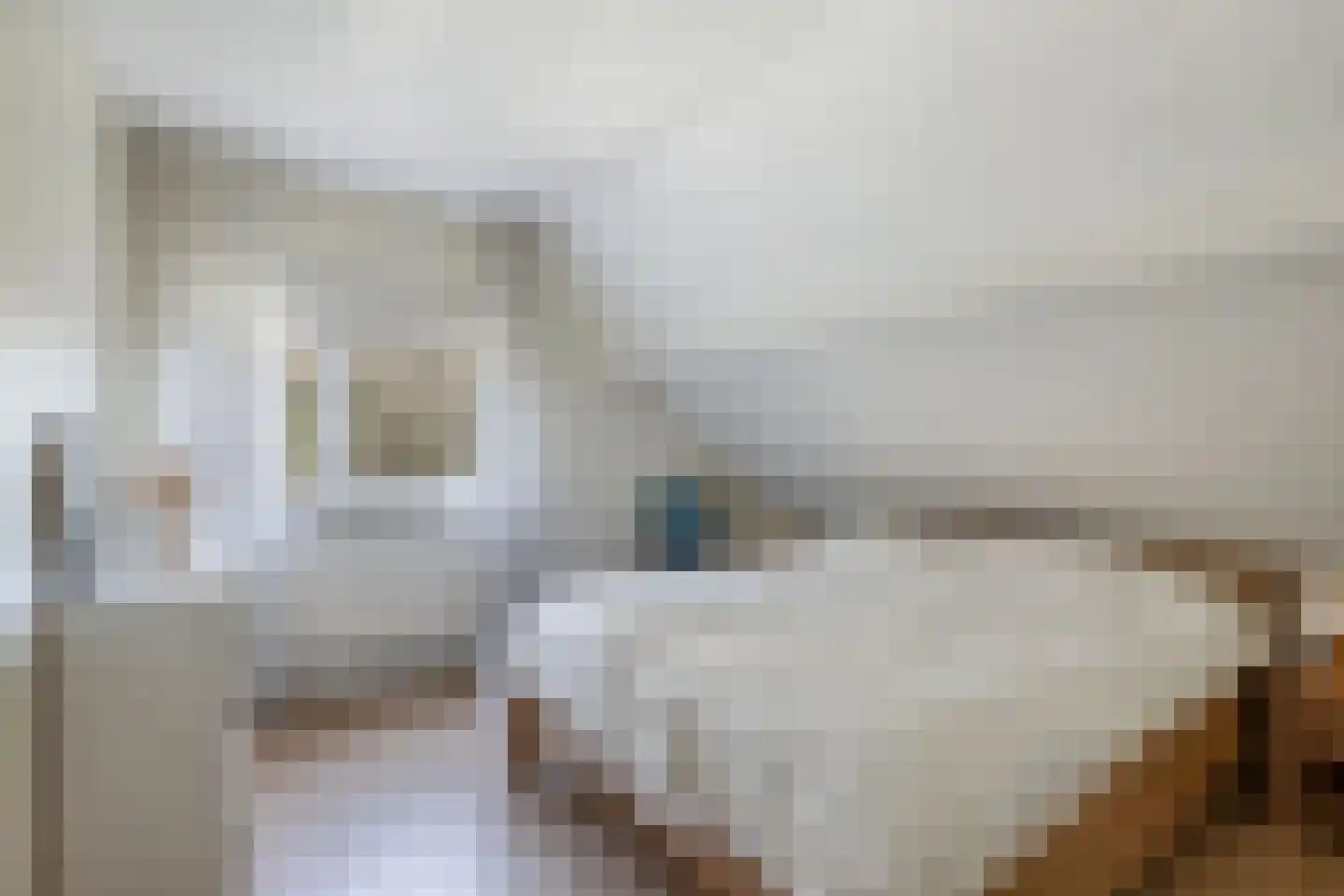 Rietlanden 10 Steenwijk thumbnail 20