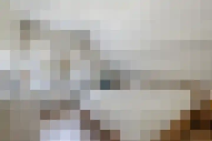 Rietlanden 10 Steenwijk thumbnail 20