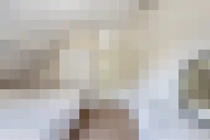Rietlanden 10 Steenwijk thumbnail 21
