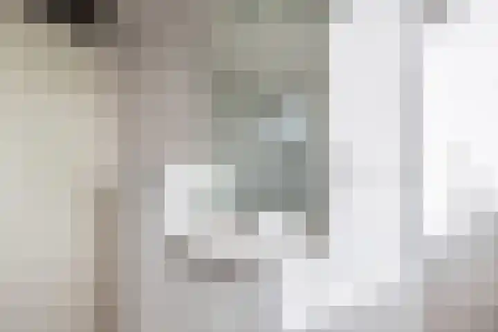 Rietlanden 10 Steenwijk thumbnail 24