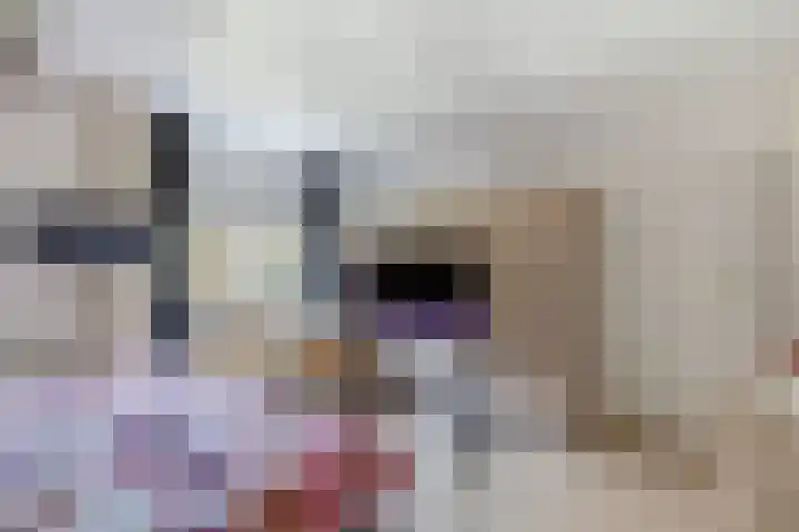 Rietlanden 10 Steenwijk thumbnail 26